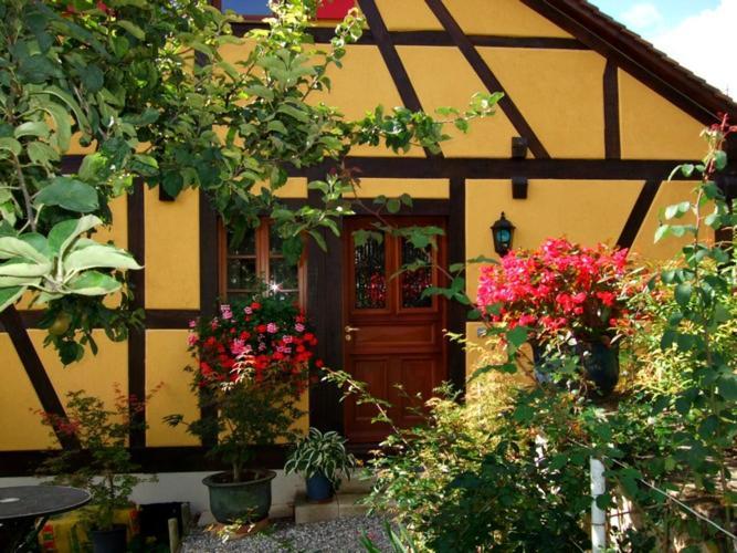 Hotel La Pomme De Pin Raedersdorf Exterior foto